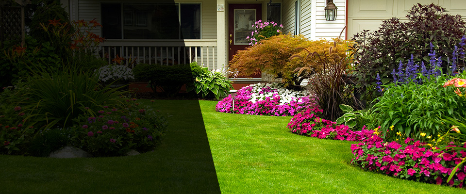 Schuyler Landscapers